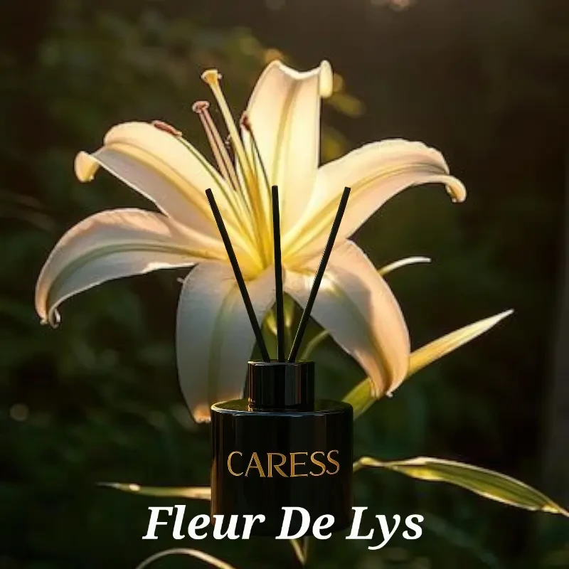 Diffuseur d'ambiance Fleur de Lys