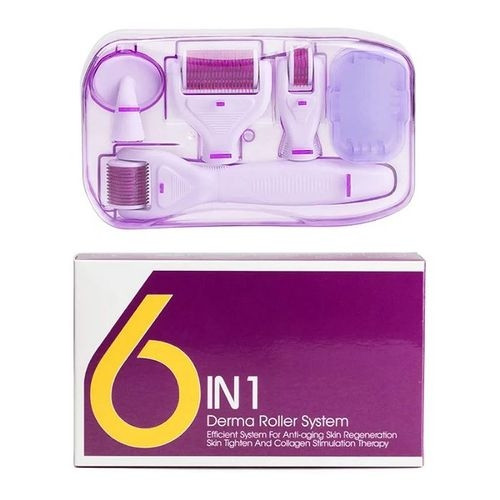 Derma Roller 6 en 1 Pour Visage & Corps