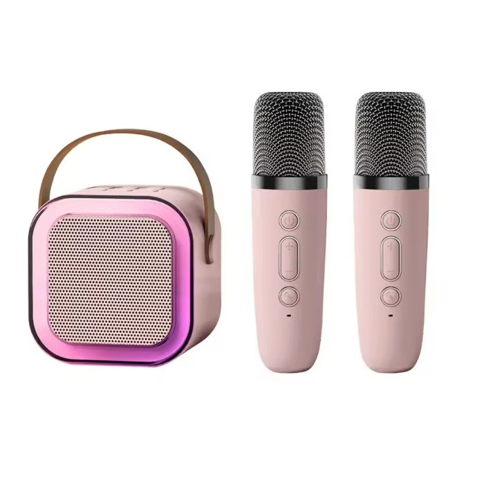 Haut Parleur Bluetooth K12 avec 2 Micro Karaoké Sans Fil