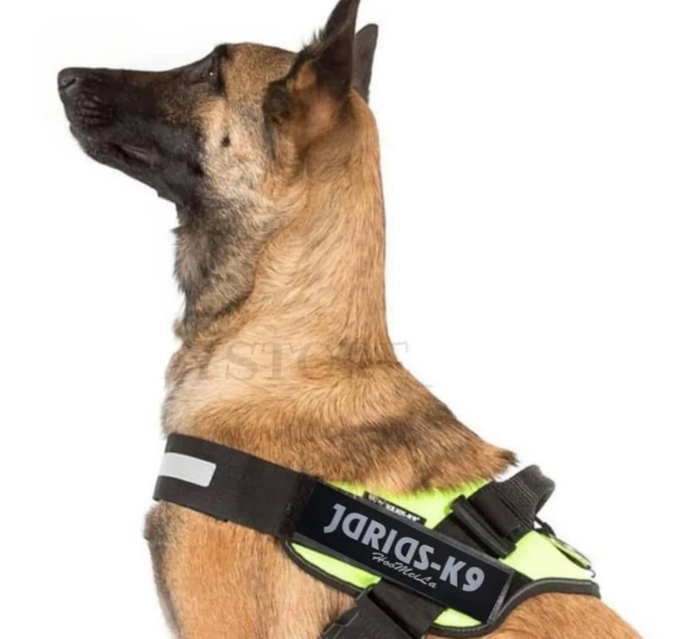 harnais K9
